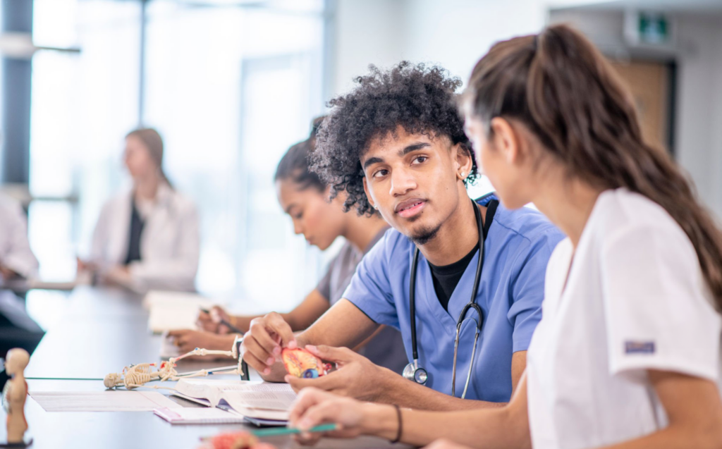 Medical students studying anatomy models together.