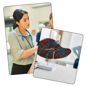 Gastroenterology - Mock Only - 14th March 2026