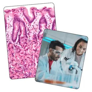 Histopathology - Mock Only - 10th January 2026
