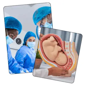 Obs & Gynae - Mock Only - 14th February 2026