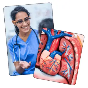 Respiratory - Mock Only - 21st February 2026