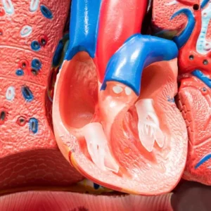 Cardiology ST4 Interview